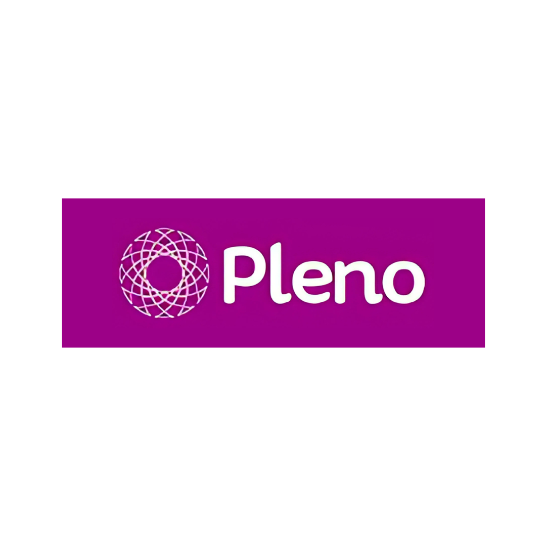 Pleno consultoria